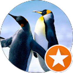 Profile photo of Lena