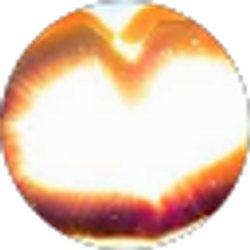 Profile photo of tee gather