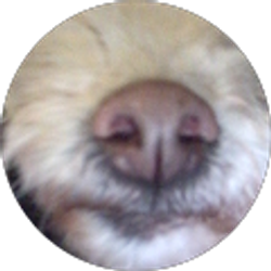 Profile photo of janette larios