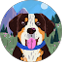 Profile photo of Donna Smith