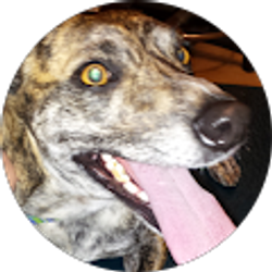 Profile photo of Leslie Allen