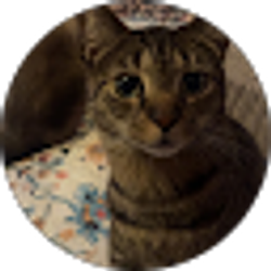 Profile photo of scarlett dunseph