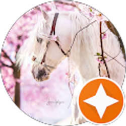 Profile photo of aasma attiayh