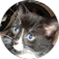 Profile photo of Ginny Townsend