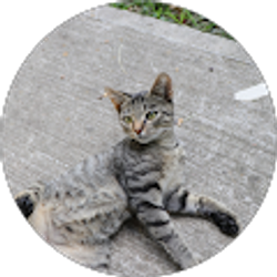 Profile photo of Devotion Relaxing Sounds