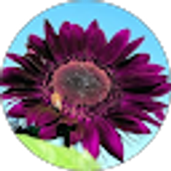 Profile photo of Kimberly Betty
