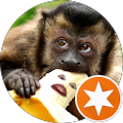 Profile photo of Jenna Silvers