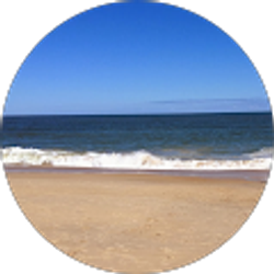 Profile photo of C Bo