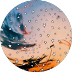 Profile photo of Alexis Meave