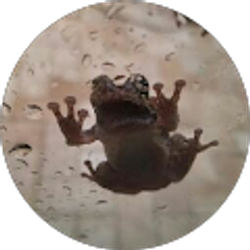 Profile photo of Victoria Birckbichler