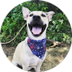 Profile photo of Benjamin Parrinello