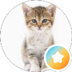 Profile photo of Christine Hallock