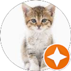 Profile photo of Christine Hallock