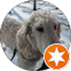 Profile photo of Tony and Heidi Sawyer