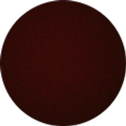 Profile photo of Nathan Lopez