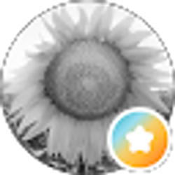 Profile photo of DOlga Scott (D)