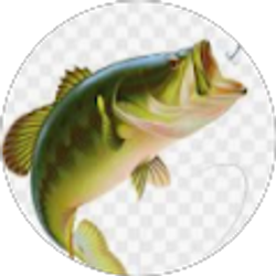 Profile photo of Matt Bradley