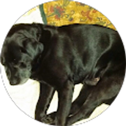 Profile photo of Kathleen Bishop