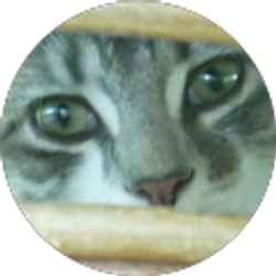 Profile photo of Mailene Kelly