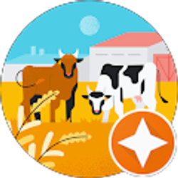 Profile photo of Chris Ellis