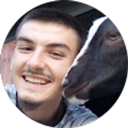 Profile photo of Ago Veli