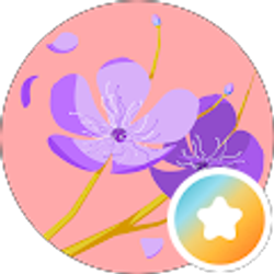 Profile photo of Sophe Sonn