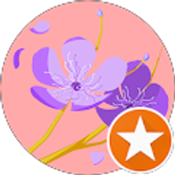 Profile photo of Sophe Sonn