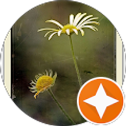 Profile photo of Pamela