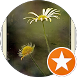 Profile photo of Pamela