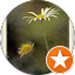 Profile photo of Pamela