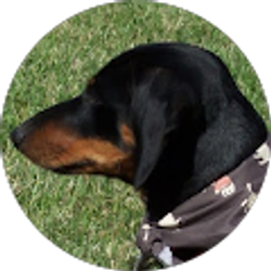 Profile photo of Miles Mason