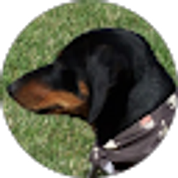 Profile photo of Miles Mason