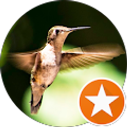 Profile photo of Mark K