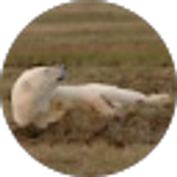 Profile photo of Scott Henderson