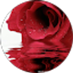 Profile photo of Maria Lugo