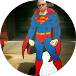 Profile photo of stan haas