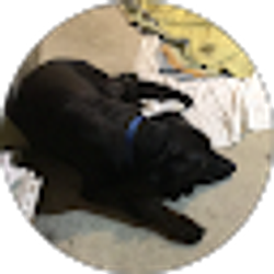 Profile photo of Eric