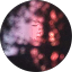 Profile photo of Angie