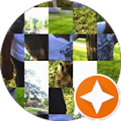 Profile photo of Sharif R