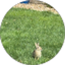 Profile photo of David Haney