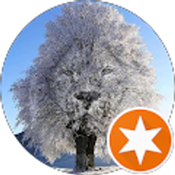 Profile photo of david ngise