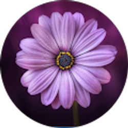 Profile photo of Muhra Sawers