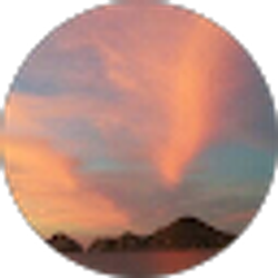 Profile photo of Steve Montgomery