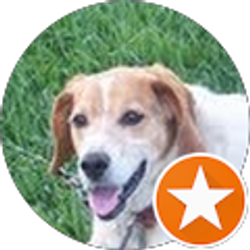 Profile photo of XX XXX