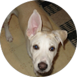 Profile photo of Trja Ludeking