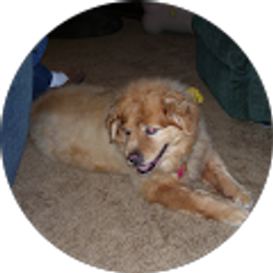 Profile photo of Carolyn Ezell