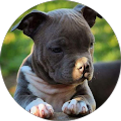 Profile photo of Abundio Mora