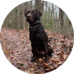 Profile photo of Grace Barber