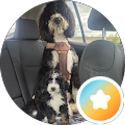 Profile photo of Kelly Mireles