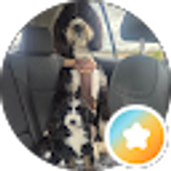 Profile photo of Kelly Mireles